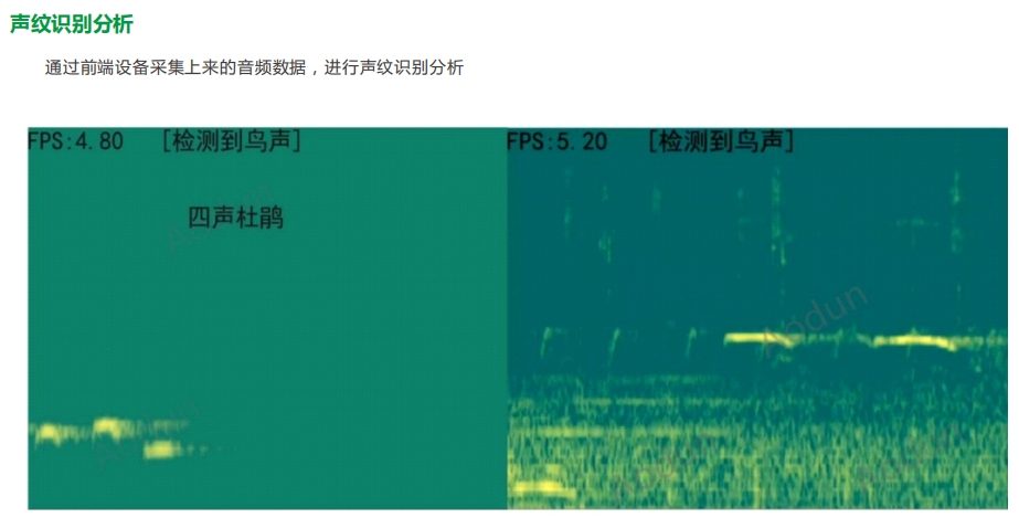 生物多樣性管理平臺(tái)、科學(xué)監(jiān)測(cè)生態(tài)多樣性、多場(chǎng)景應(yīng)用方案